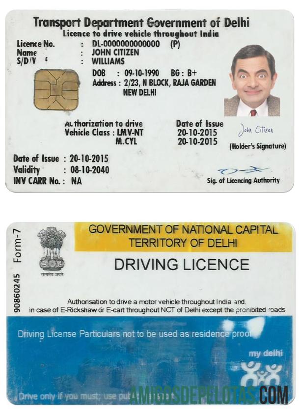 Carta de condução da Índia (Delhi) exemplo